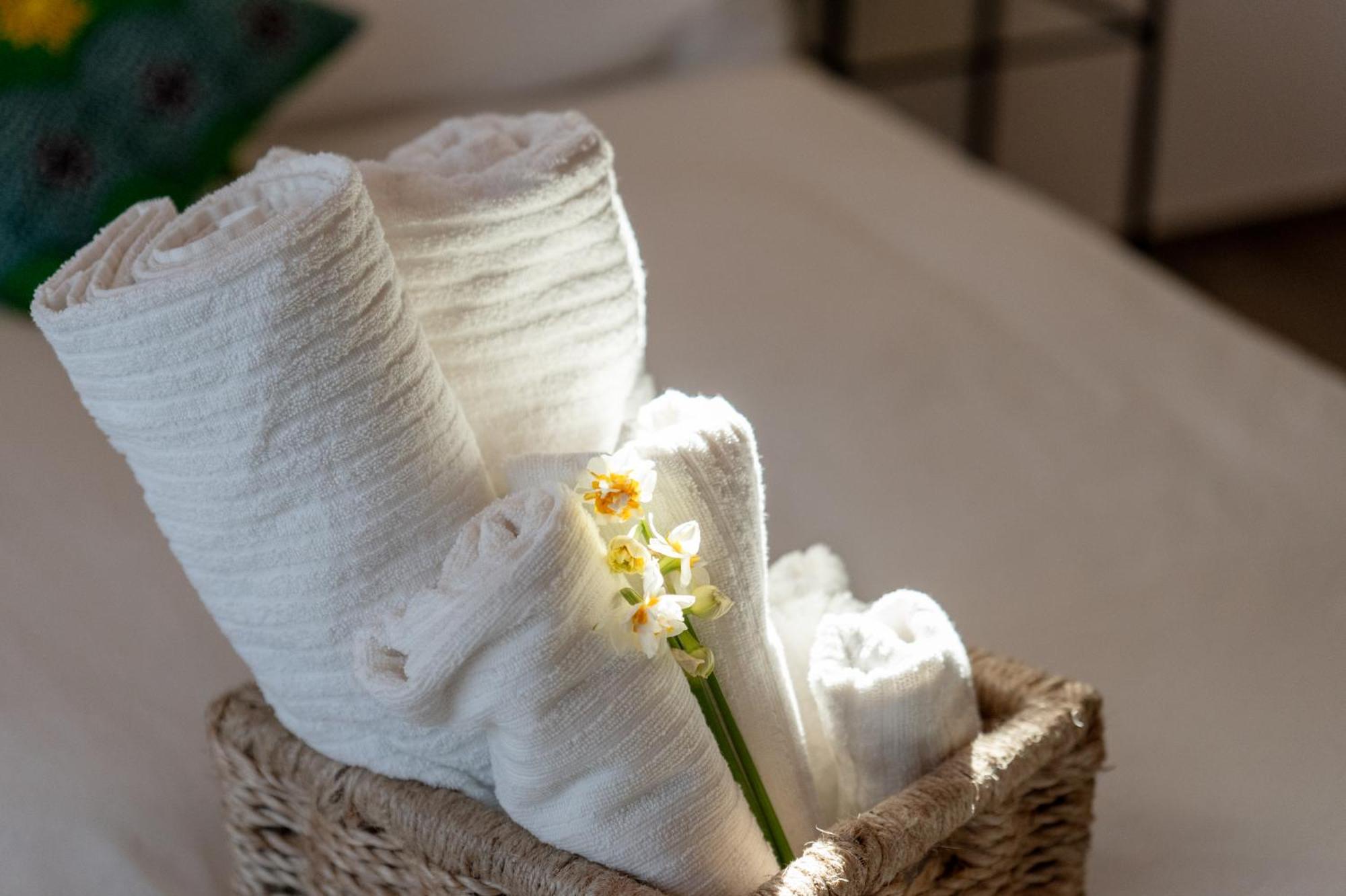 Casa Addis B&B Scapezzano 外观 照片